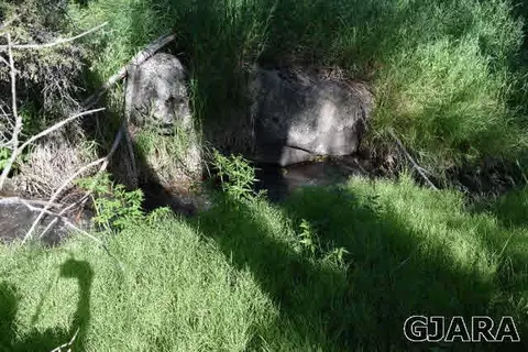 9999 48 Rd, Mesa, CO 81643 photo 6