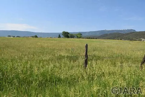 9999 48 Rd, Mesa, CO 81643 photo 3