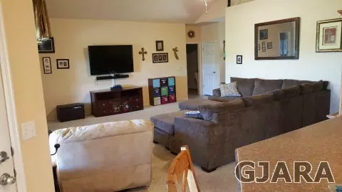 743 Amethyst Dr, Fruita, CO 81521 photo 5
