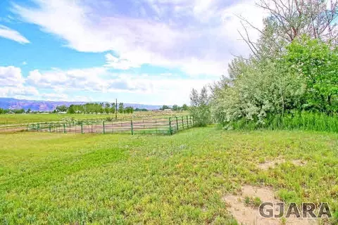 2050 J 12 Rd, Fruita, CO 81521 photo 7