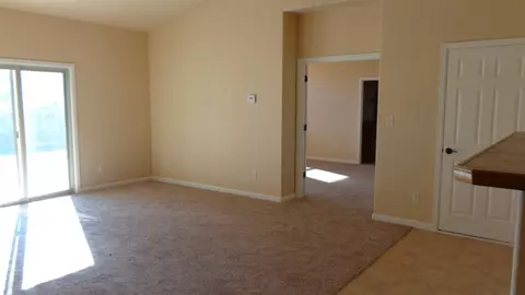 1456 Bobcat Way, Fruita, CO 81521 photo 14