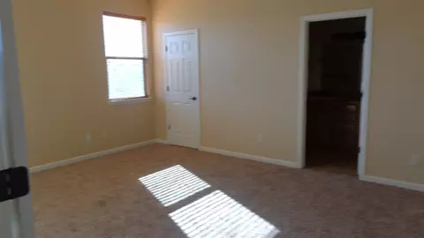 1456 Bobcat Way, Fruita, CO 81521 photo 4