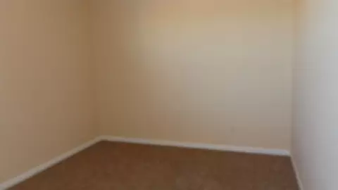 1456 Bobcat Way, Fruita, CO 81521 photo 2