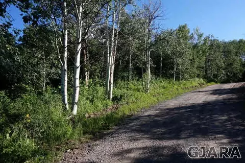 14392 Parkview Dr, Collbran, CO 81624 photo 3
