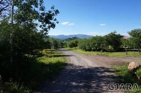 14392 Parkview Dr, Collbran, CO 81624 photo 4