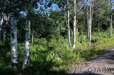 14392 Parkview Dr, Collbran, CO 81624 photo 2