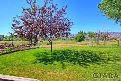 1681 L Rd, Fruita, CO 81521 photo 8