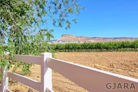 3556 E 12 Rd, Palisade, CO 81526 photo 8
