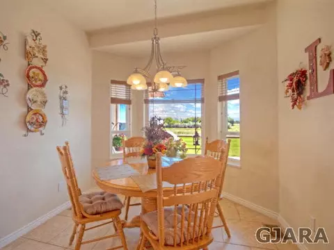 1046 21 Rd, Fruita, CO 81521 photo 9