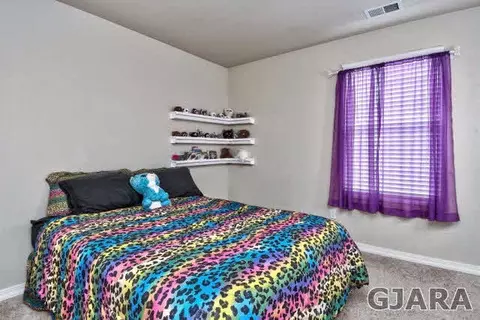 141 Arches Dr, Fruita, CO 81521 photo 20