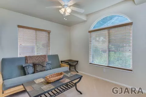 624 Silver Plume Dr, Fruita, CO 81521 photo 16