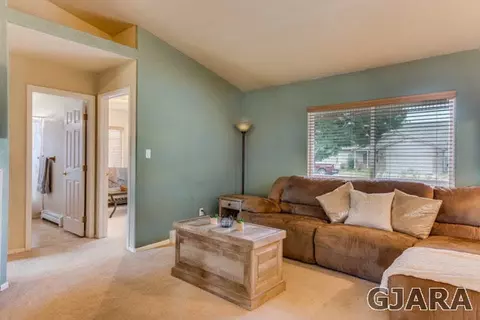 624 Silver Plume Dr, Fruita, CO 81521 photo 3