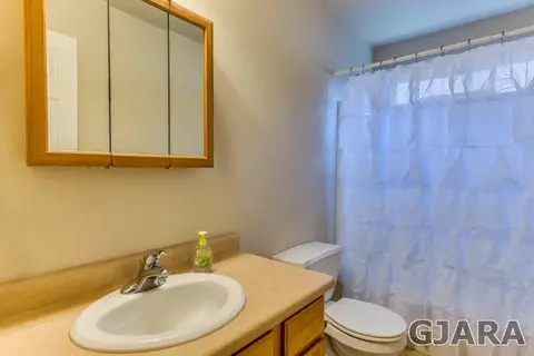 624 Silver Plume Dr, Fruita, CO 81521 photo 15