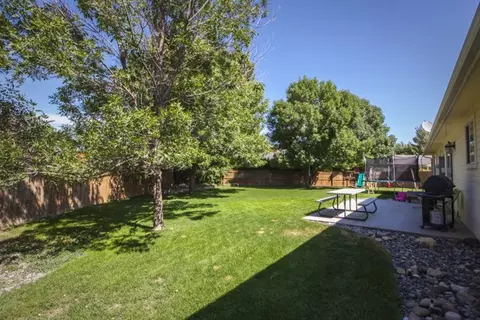 1135 Laurel Ct, Fruita, CO 81521 photo 34