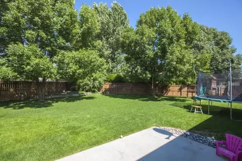 1135 Laurel Ct, Fruita, CO 81521 photo 32