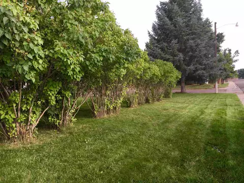 206 N Stanolind Ave, Rangely, CO 81648 photo 5