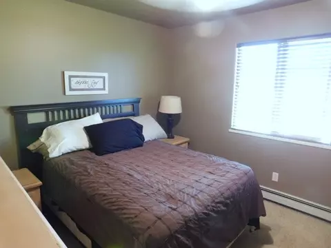 332 Crystal Ct, Fruita, CO 81521 photo 15