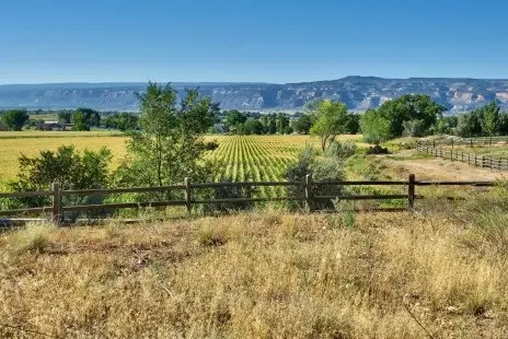 1380 Horseshoe Dr, Fruita, CO 81521 photo 14