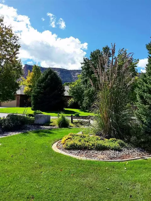 558 E Saddle Dr, Grand Junction, CO 81507 photo 3