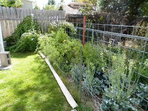 1428 Leo Ave, Fruita, CO 81521 photo 12