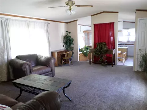1428 Leo Ave, Fruita, CO 81521 photo 10