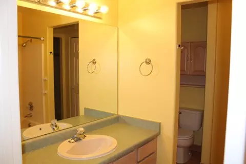 509 Hazel Cir, Fruita, CO 81521 photo 10
