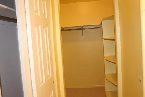 509 Hazel Cir, Fruita, CO 81521 photo 9