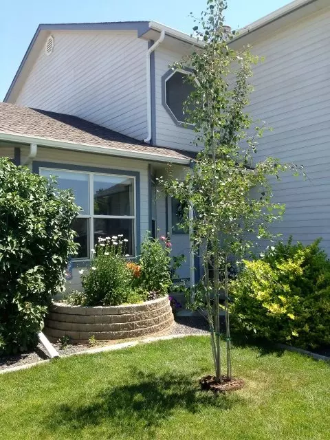 209 W Sunset Dr, Fruita, CO 81521 photo 37