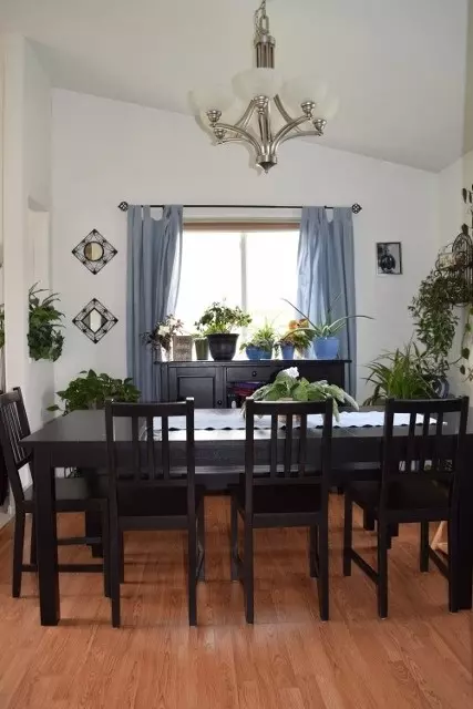 209 W Sunset Dr, Fruita, CO 81521 photo 7