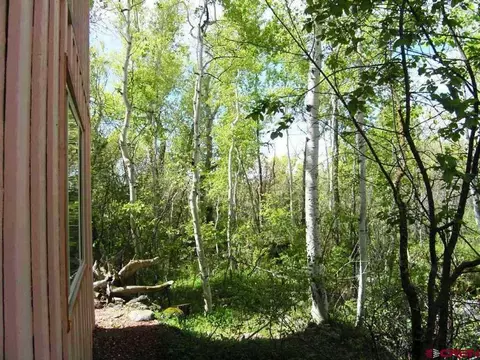 21577 2300 Rd, Cedaredge, CO 81413 photo 8