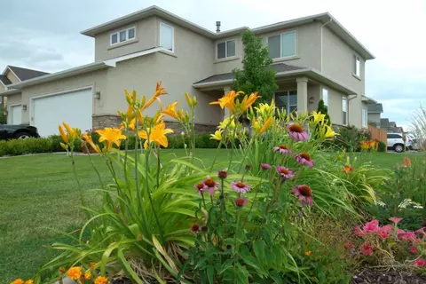 997 Moores Diamond Dr, Fruita, CO 81521 photo 3