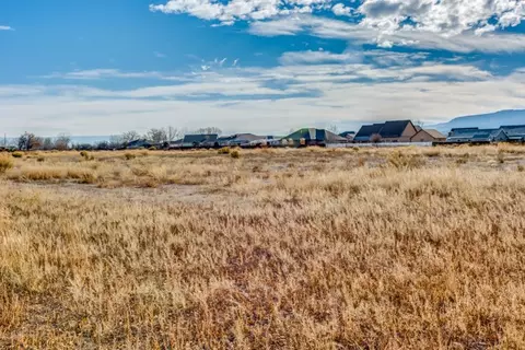 965 Adobe View Way, Fruita, CO 81520 photo 5