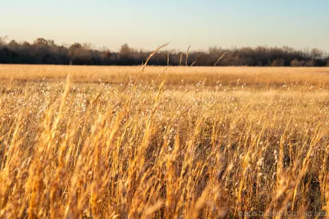 8 Hwy 64, Warner, OK 74469 photo 37