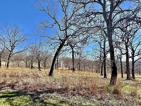 19505 E Cedar Ln, Cookson, OK 74427 photo 13
