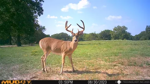 2 E County Rd 1110, Checotah, OK 74426 photo 8