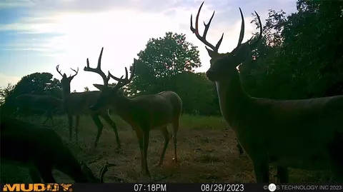 2 E County Rd 1110, Checotah, OK 74426 photo 5