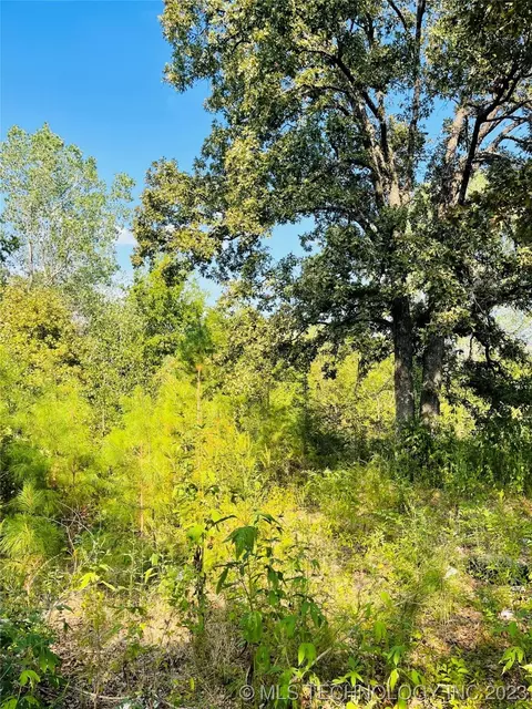 320 Blue Bird Ln, Colbert, OK 74733 photo 3