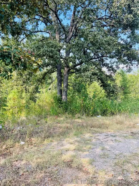 320 Blue Bird Ln, Colbert, OK 74733 photo 2