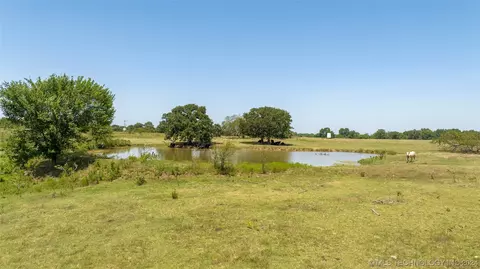 View/Area - 6380 Lowe Lake Rd, Davis, OK 73030 photo 7 of 19