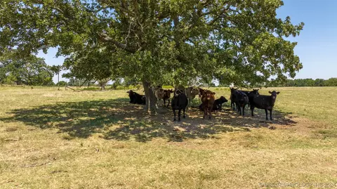 Other - 6380 Lowe Lake Rd, Davis, OK 73030 photo 1 of 5