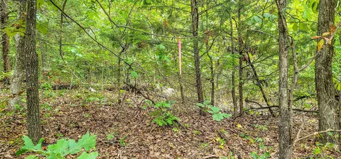6 S 4240 Rd, Eufaula, OK 74432 photo 17