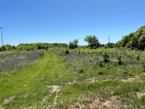 Bridgeview Road, Madill, OK 73446 photo 4