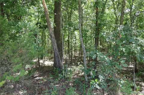 Undisclosed, Wagoner, OK 74467 photo 6