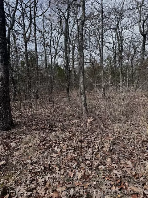 9999 E 970, Vian, OK 74962 photo 22
