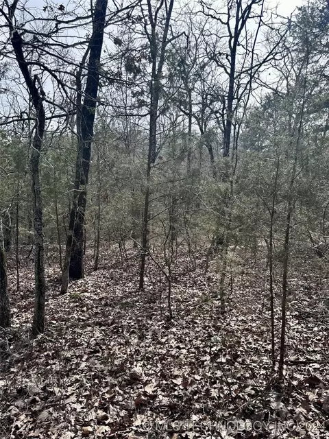 9999 E 970, Vian, OK 74962 photo 24