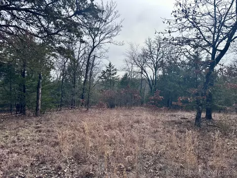 9999 E 970, Vian, OK 74962 photo 14