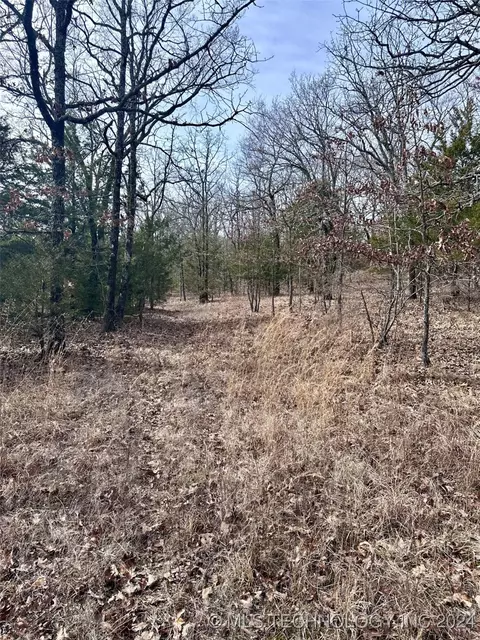9999 E 970, Vian, OK 74962 photo 23