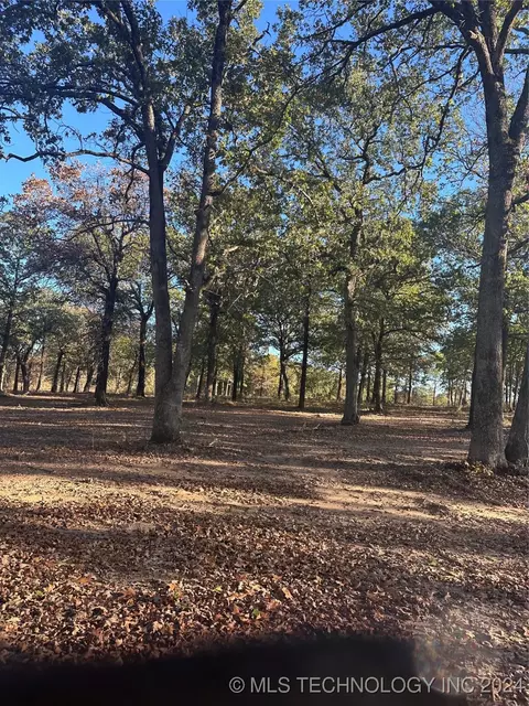Undisclosed, Colbert, OK 74733 photo 9
