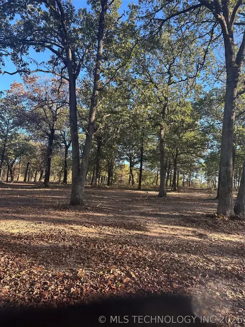 Undisclosed, Colbert, OK 74733 photo 5