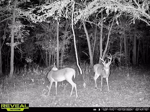 2 E 4130 Rd, Eufaula, OK 74432 photo 33